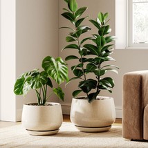 Le Tauci Ceramic Plant Pots, Set Of 2, 10 Inch 12 Inch Planters For Indoor - £98.57 GBP