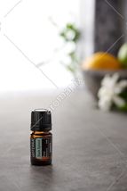 doTerra Black Spruce Essential Oil 5ml Exp 10/2027 NEW SEALED - $15.00