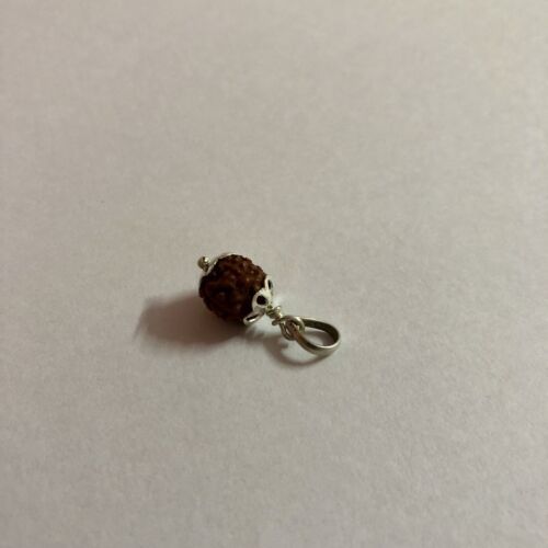 Lab Certified 925 Silver + 5 Mukhi RUDRAKSHA Panchmukhi Rudraksh 5 Face Pendant Item image 9