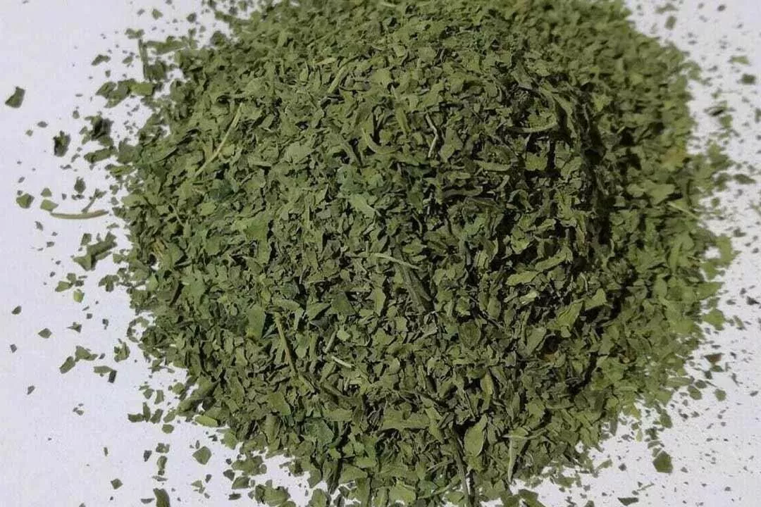 400gm Dried Molokhiya, Palestinian Cuisine, Dried Molokhiya ملوخية ناشفة... - $61.51 CAD