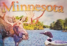 Minnesota Land of 10,000 Lakes 3D Fridge Magnet - £4.69 GBP