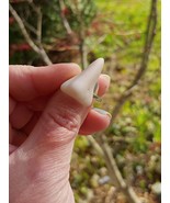 Fake Nose Finger Ring with Nose Stud Bone - Gag Gift - Teenagers AFV - £15.32 GBP