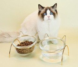 Sparkling Glass Cat Bowl With Elevated Metal Rack - Stylish And Functional Pet F - £27.74 GBP+