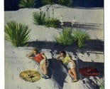 Bathing Beauties Linen Postcard Great White Sands National Monument New ... - £9.28 GBP