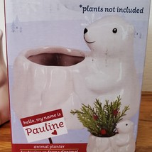 Polar Bear Planter with Live Succulent, Pauline Animal Planter Plant Pot image 7