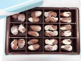 Andy Anand&#39;s Sugar Free Tasty Chocolate Sea Shells - 24 Pcs - £32.70 GBP