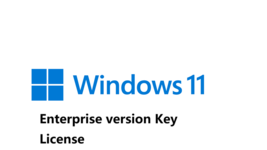 windows 11 Enterprise Enter version - $16.70