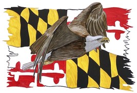 Maryland Flag Tattered w/ Eagle Flying High Quality Vinyl Decal Sticker - £5.64 GBP+