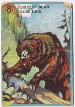 Cowan Co Toronto Animal Card # 8 Grizzly Bear Coupon Removed - £2.32 GBP