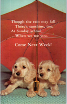 Two Cocker Spaniel Puppies Under An Umbrella Dog Postcard - £5.28 GBP
