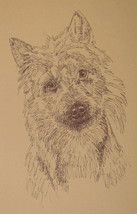 Australian Terrier Dog Art Lithograph #53 Kline adds your dogs name free. AUSSIE - £38.89 GBP