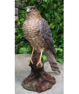 Realistic Hand Painted Eurasian Sparrowhawk Perching On Tree Stump Figurine - £36.33 GBP