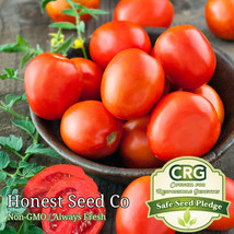 100  Roma Tomato Seeds  Heirloom Fresh Garden - $9.00