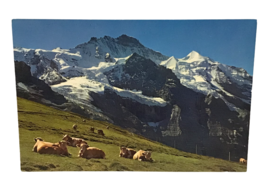 Swiss Alps Yaks Thor Gyger PostCard Adelboden #36972 Die Jungfrau Ephemera Vtg - £6.31 GBP