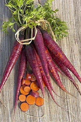 SMR Carrot Seeds 100 Thru 2 500 Cosmic Purple Carrot Seeds Fresh Garden - $14.53