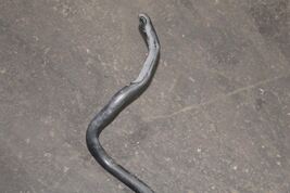 Stabilizer Bar Front Fits GT GTS 00-05 CELICA 71882 image 7