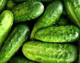 Carolina Cucumber PURE Seeds 50+ Garden Pickling NONGMO  - £6.95 GBP