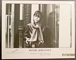 DAVID JOHANSEN : (RARE VINTAGE ORIG, ROCK &amp; ROLL RECORD PROMO PHOTO) 70.... - £76.58 GBP