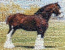 Amazing Clydesdale Horse Montage Limited Edition w/COA - £9.01 GBP