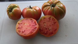 50 + Seeds  Russian Rose Tomato Tomatoe Vegetable Garden Edible Canning From Us  - $8.94