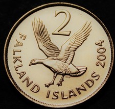 Falkland Islands 2 Pence, 2004 Gem Unc~Upland Goose - £3.28 GBP