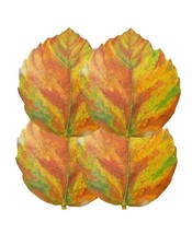 Benson Mills 4 Piece Harvest Leaf Shaped Cork Placemat, 15&quot; x 15&quot;. NEW - £15.72 GBP