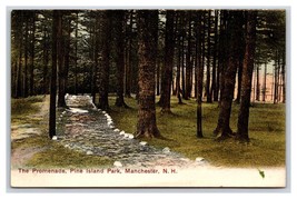 Pine Island Park Promenade Manchester New Hampshire NH UNP DB Postcard T3 - $4.42