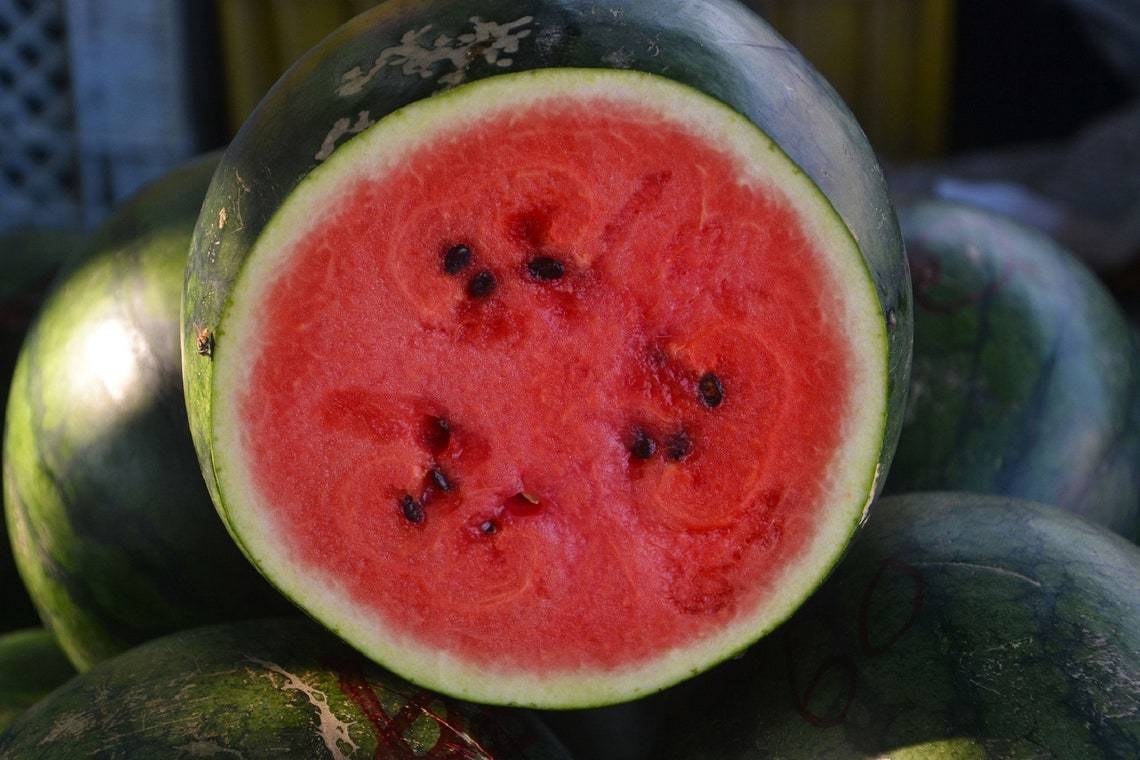 Primary image for Sugar Baby Watermelon Heirloom {Citrullus lanatus} NON-GMO 50+ seeds