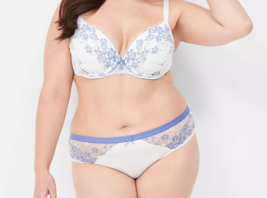 Lane Bryant Cacique Stretch Lace Hipster Panties Blue White Plus 22/24 3X Nwt - $18.32