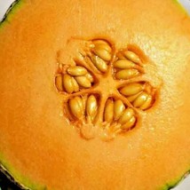 Grow in US Honey Rock Spring Cantaloupe Melon Honeyrock Heirloom Non-Gmo 20 Seed - £7.09 GBP