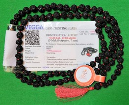 Certified 5 Face Black Rudraksha Mala Beads Size 7mm - £19.60 GBP