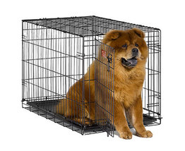 Midwest iCrate 1536 Single Door Folding Dog Crate 36&quot; x 23&quot; x 25&quot;   *NEW* - £44.75 GBP