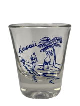 HAWAII Barware Shot Glass Surfer Beach Souvenir Palm Tree Blue Graphics ... - $9.89