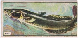 Cowan Co Toronto Card Ling Canadian Fish - £7.78 GBP