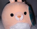 Squishmallows KEELY the KANGAROO 5&quot; NWT - $12.75