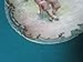 Item image 12