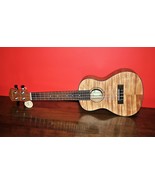 Ventura Concert Ukulele NEW in Box FREE SHIPPING - £98.08 GBP