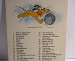 1978 Walt Disney&#39;s Fun &amp; Facts Flashcard: The World of Animals - $2.00