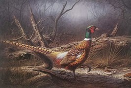 Ring-Necked Pheasant - Signed and Numbered Limited Edition Print by Denn... - $100.00