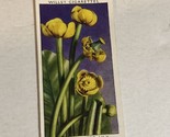 Yellow Water Lily Wild Flowers Wills Vintage Cigarette Card #4 - $2.96