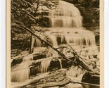 Pearsons Falls Albertype Postcard Tryon North Carolina 1930s - $21.78