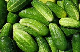 Marketmore Cucumber Seeds 50 Vegetable Heirloom Non-Gmo Fresh Garden - $7.08