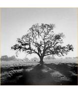 Ansel Adams Fiat Lux Collection 1964 Original Photographs - $49.45