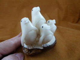 (TNE-PEN-118-A) Penguin FAMILY bird TAGUA NUT figurine carving penguins ... - $46.27