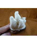 (TNE-PEN-118-A) Penguin FAMILY bird TAGUA NUT figurine carving penguins ... - £36.28 GBP
