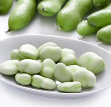 SEED Green White Giant Broad Bean Seeds, 100 Seeds - $14.99