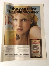 1989 Hiram Walker Apricot Flavored Brandy Vintage Print Ad Advertisement... - £6.17 GBP