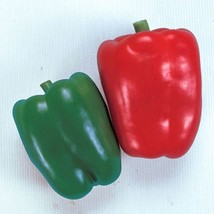 USA SELLER Red Crest Sweet Pepper Seeds Fast Shipping - £7.32 GBP