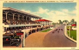 Linen POSTCARD-THEY Are Off At The St. Petersburg Kennel Club, Race Track BK56 - £3.10 GBP