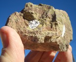 COFFINITE URANIUM ROCK  12.6 OZ weight;  35,600. CPM   $28.00 plus $12.8... - $28.00